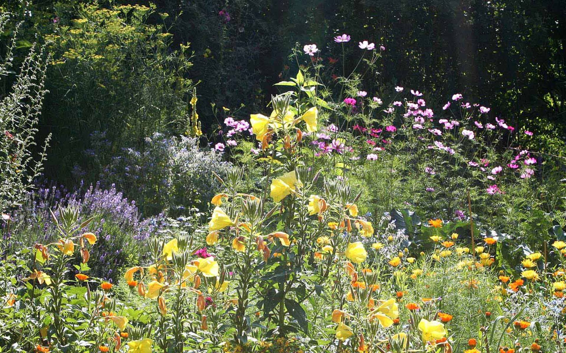 Die Garten Pro Natura Champ Pittet